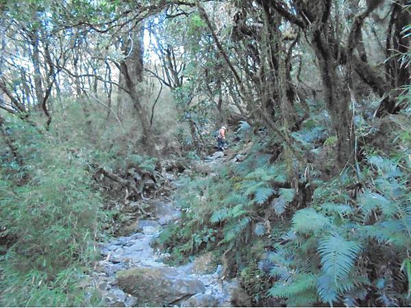 20191109北大武山單攻 (33).jpg 20191109北大武山單攻 (33).jpg