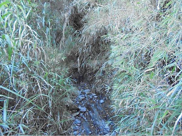 20191109北大武山單攻 (31).jpg 20191109北大武山單攻 (31).jpg