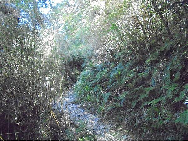 20191109北大武山單攻 (34).jpg 20191109北大武山單攻 (34).jpg