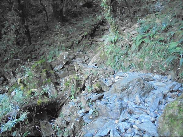 20191109北大武山單攻 (28).jpg 20191109北大武山單攻 (28).jpg