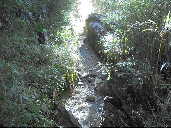 20191109北大武山單攻 (35).jpg 20191109北大武山單攻 (35).jpg