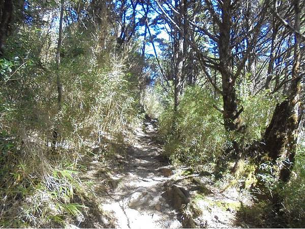 20191109北大武山單攻 (41).jpg 20191109北大武山單攻 (41).jpg