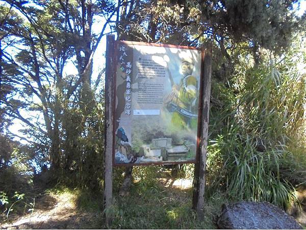 20191109北大武山單攻 (47).jpg 20191109北大武山單攻 (47).jpg