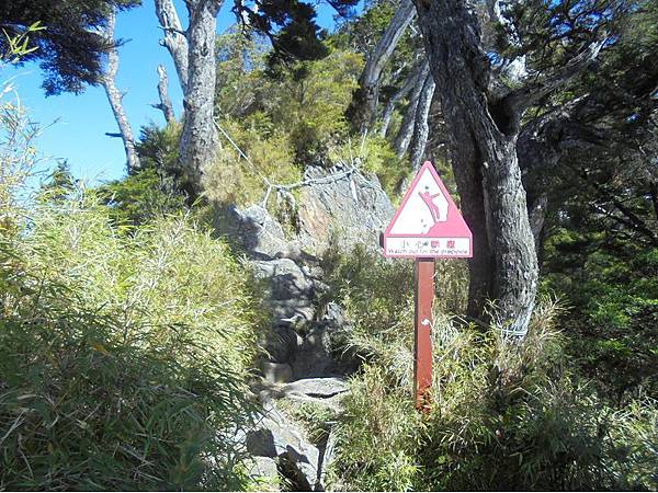 20191109北大武山單攻 (44).jpg 20191109北大武山單攻 (44).jpg