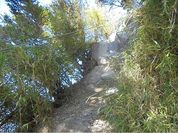 20191109北大武山單攻 (43).jpg 20191109北大武山單攻 (43).jpg