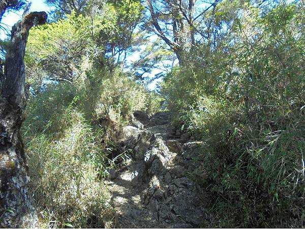 20191109北大武山單攻 (45).jpg 20191109北大武山單攻 (45).jpg