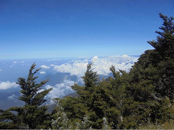 20191109北大武山單攻 (50).jpg 20191109北大武山單攻 (50).jpg