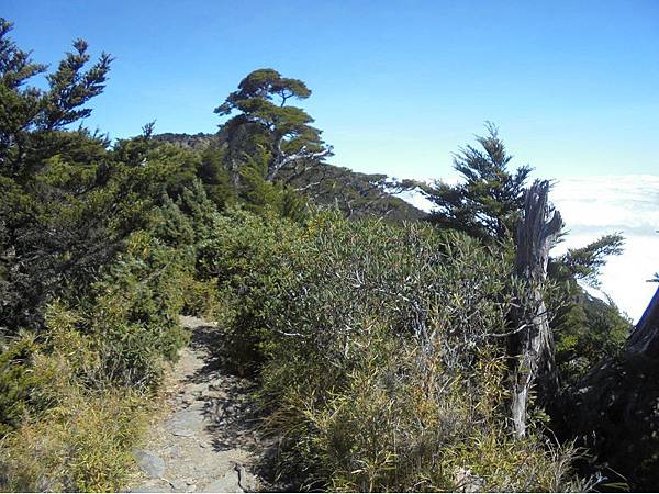 20191109北大武山單攻 (51).jpg 20191109北大武山單攻 (51).jpg