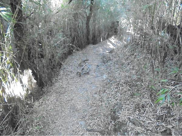 20191109北大武山單攻 (54).jpg 20191109北大武山單攻 (54).jpg