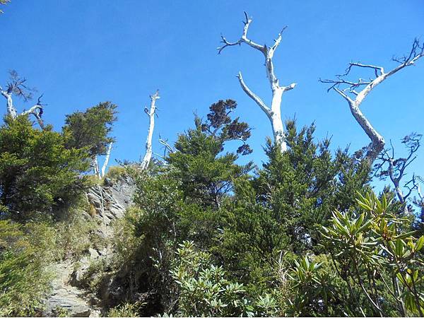 20191109北大武山單攻 (56).jpg 20191109北大武山單攻 (56).jpg