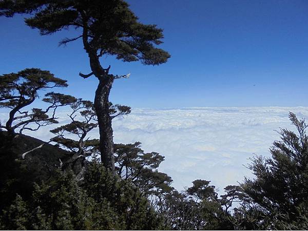 20191109北大武山單攻 (52).jpg 20191109北大武山單攻 (52).jpg