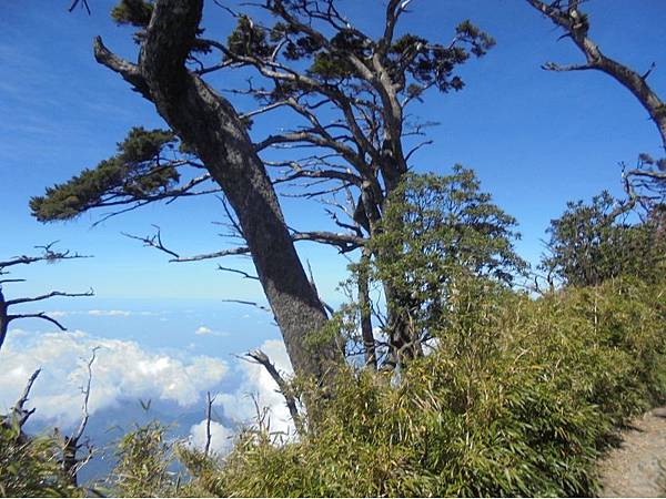 20191109北大武山單攻 (58).jpg 20191109北大武山單攻 (58).jpg