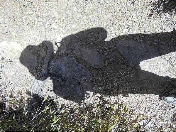 20191109北大武山單攻 (57).jpg 20191109北大武山單攻 (57).jpg