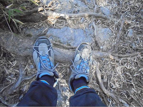 20191109北大武山單攻 (59).jpg 20191109北大武山單攻 (59).jpg