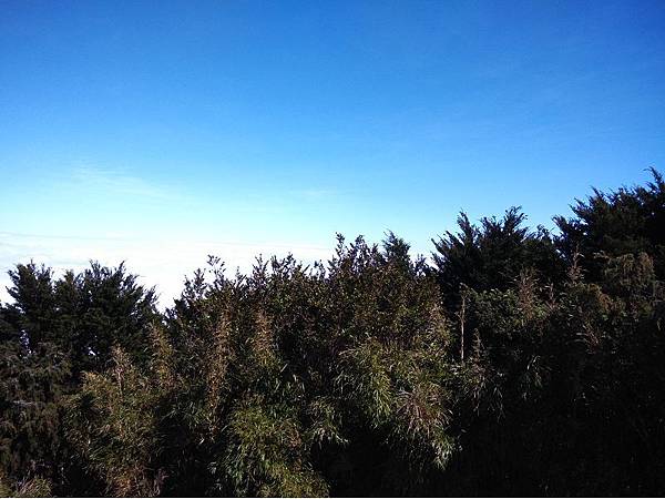 20191109北大武山單攻 (62)i.jpg 20191109北大武山單攻 (62)i.jpg