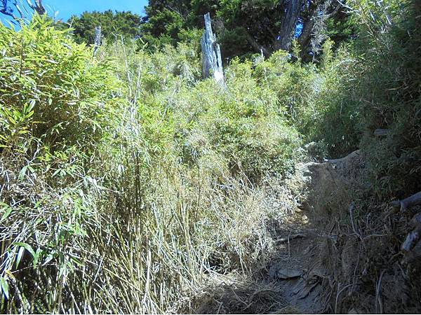 20191109北大武山單攻 (62).jpg 20191109北大武山單攻 (62).jpg