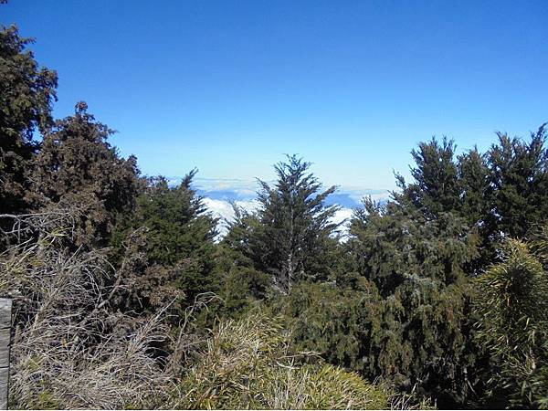 20191109北大武山單攻 (64).jpg 20191109北大武山單攻 (64).jpg