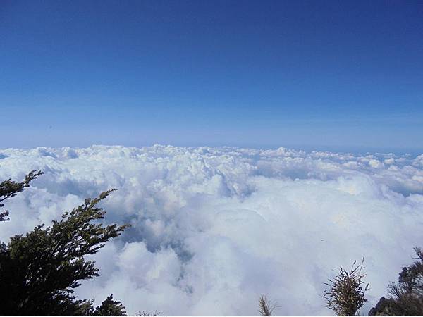 20191109北大武山單攻 (65).jpg 20191109北大武山單攻 (65).jpg