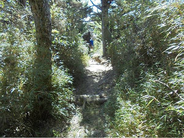 20191109北大武山單攻 (68).jpg 20191109北大武山單攻 (68).jpg