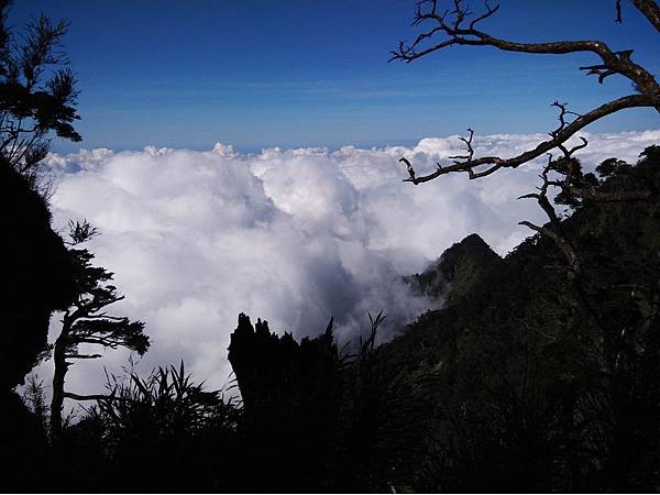 20191109北大武山單攻 (72)b.jpg 20191109北大武山單攻 (72)b.jpg