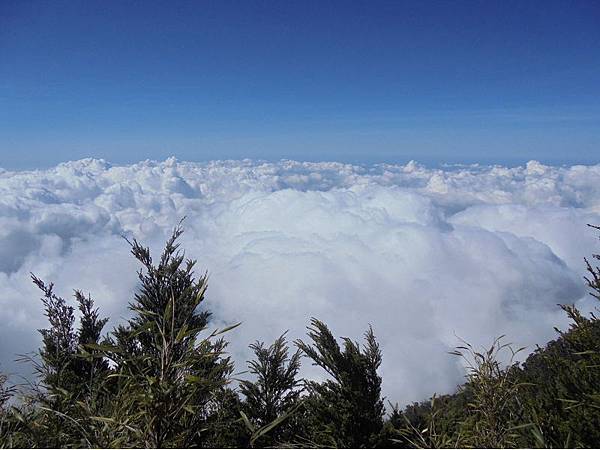 20191109北大武山單攻 (70).jpg 20191109北大武山單攻 (70).jpg