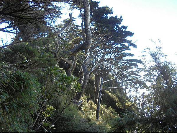 20191109北大武山單攻 (73).jpg 20191109北大武山單攻 (73).jpg