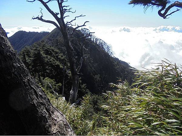 20191109北大武山單攻 (72).jpg 20191109北大武山單攻 (72).jpg