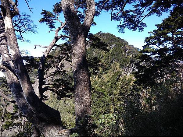 20191109北大武山單攻 (72)a.jpg 20191109北大武山單攻 (72)a.jpg