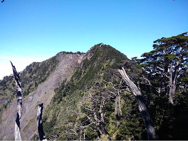 20191109北大武山單攻 (72)c.jpg 20191109北大武山單攻 (72)c.jpg