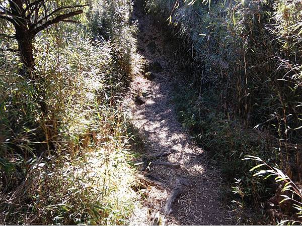 20191109北大武山單攻 (73)a.jpg 20191109北大武山單攻 (73)a.jpg