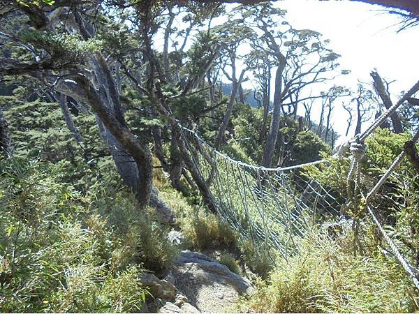 20191109北大武山單攻 (75).jpg 20191109北大武山單攻 (75).jpg