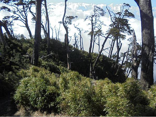 20191109北大武山單攻 (76).jpg 20191109北大武山單攻 (76).jpg