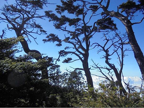 20191109北大武山單攻 (77).jpg 20191109北大武山單攻 (77).jpg