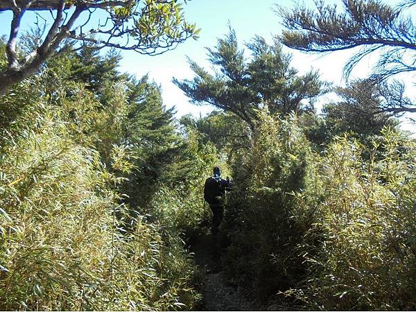 20191109北大武山單攻 (81).jpg 20191109北大武山單攻 (81).jpg