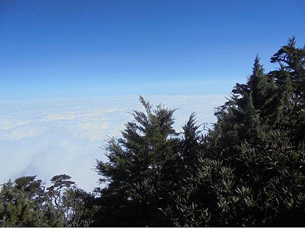 20191109北大武山單攻 (79).jpg 20191109北大武山單攻 (79).jpg