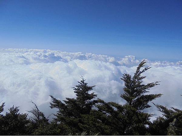 20191109北大武山單攻 (80).jpg 20191109北大武山單攻 (80).jpg