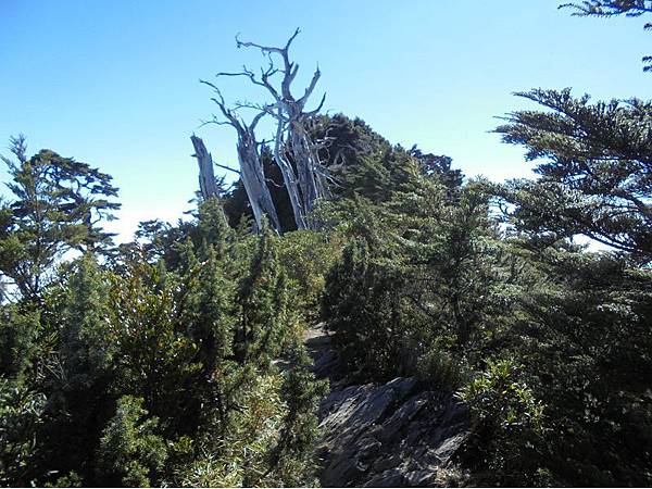 20191109北大武山單攻 (78).jpg 20191109北大武山單攻 (78).jpg