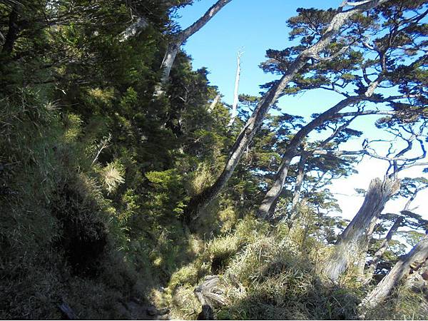 20191109北大武山單攻 (85).jpg 20191109北大武山單攻 (85).jpg