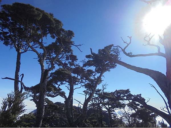 20191109北大武山單攻 (84).jpg 20191109北大武山單攻 (84).jpg