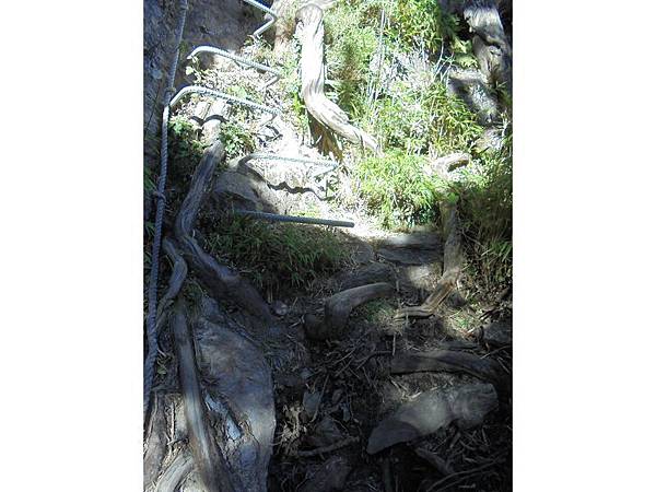 20191109北大武山單攻 (87).jpg 20191109北大武山單攻 (87).jpg