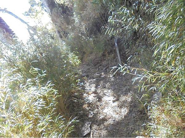 20191109北大武山單攻 (88).jpg 20191109北大武山單攻 (88).jpg