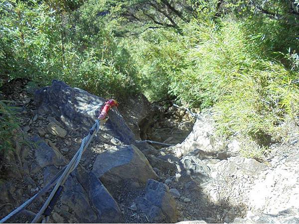 20191109北大武山單攻 (89).jpg 20191109北大武山單攻 (89).jpg