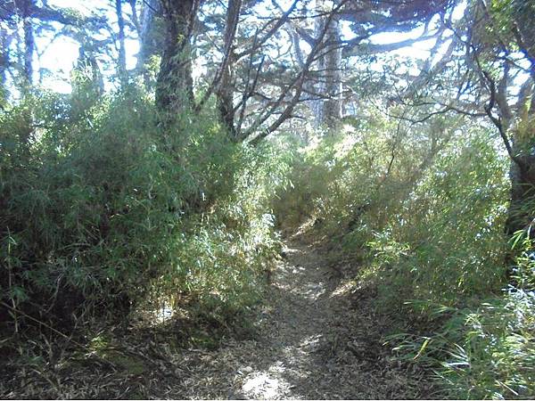 20191109北大武山單攻 (91).jpg 20191109北大武山單攻 (91).jpg