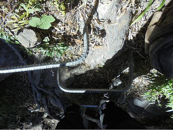 20191109北大武山單攻 (86).jpg 20191109北大武山單攻 (86).jpg