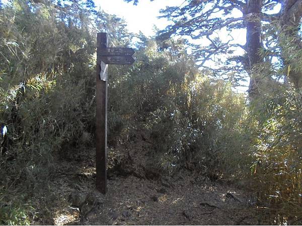 20191109北大武山單攻 (92).jpg 20191109北大武山單攻 (92).jpg