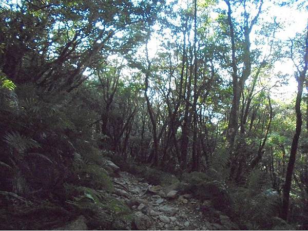 20191109北大武山單攻 (96).jpg 20191109北大武山單攻 (96).jpg