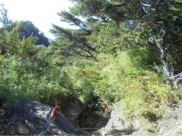 20191109北大武山單攻 (90).jpg 20191109北大武山單攻 (90).jpg