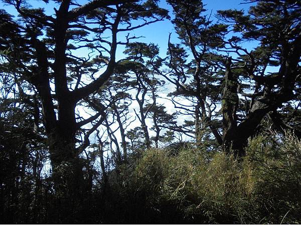 20191109北大武山單攻 (93).jpg 20191109北大武山單攻 (93).jpg