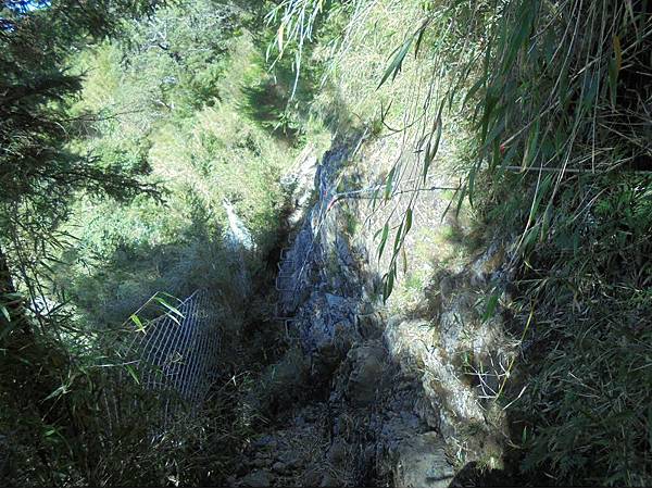 20191109北大武山單攻 (94).jpg 20191109北大武山單攻 (94).jpg