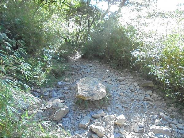 20191109北大武山單攻 (95).jpg 20191109北大武山單攻 (95).jpg